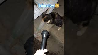 Interview 🎬 🙀 🧑‍🚀 [upl. by Amandi]