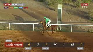 Live Hippodrome « SETTAT »  Courses du « 30112024 » [upl. by Johannah370]