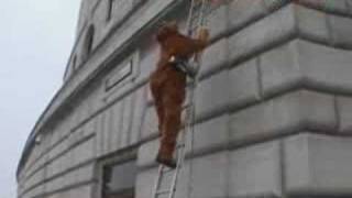 Greenpeace Protestors Scale Unilever Building As Orangutans [upl. by Madai]