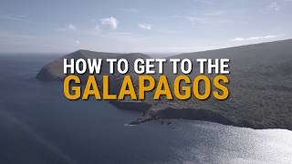 How to get to the Galapagos Islands [upl. by Colb]