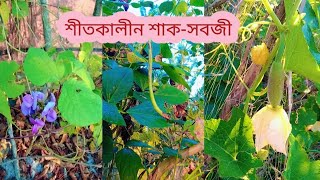 শীতকালীন শাকসবজী🙂 [upl. by Wilkens]