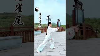 ☯️ El Tai Chi de 24 movimientos Una danza milenaria para cuerpo y mente Taichi Asociación [upl. by Yci]