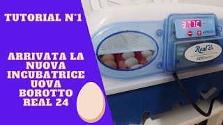 ARRIVATA LA NUOVA INCUBATRICE UOVA BOROTTO REAL 24 TUTORIAL N°1 [upl. by Katzir]