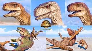 Atrociraptor Squad Pack Hunting Animations vs All Dinosaurs  Jurassic World Evolution 2 [upl. by Scever45]