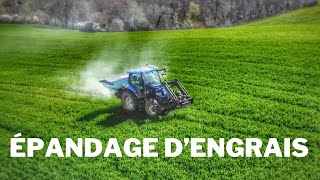 Épandage d’engrais à la ferme avec le New Holland T6020 et le Sulky Dx30 🔵 [upl. by Evadnee796]