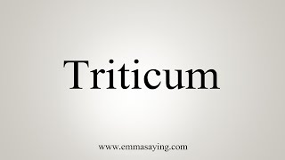 How To Say Triticum [upl. by Eelnyl]