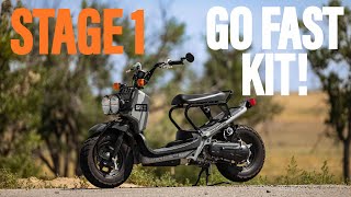 Honda Ruckus Go Fast Kit  Stage 1 [upl. by Oderf]