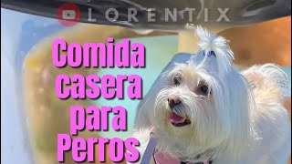 Guiso con avena para Perros para 1 semana I LORENTIX [upl. by Byrne]