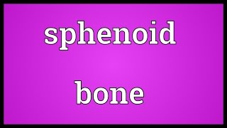 Sphenoid bone Meaning [upl. by Nadaba]