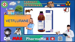 🐶 VETFLURANE Farmaco Veterinario a cosa serve   Foglietto Illustrativo 👔 Dr MAX [upl. by Cazzie]