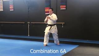 Shitoryu Shukokai Karate Combinations 6  10A [upl. by Airdnna]