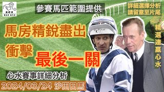 港經佬賽馬貼士及分析｜馬房精銳盡出 衝擊最後一關｜24032024 沙田田草賽事詳細分析｜沙田日馬賽事 香港賽馬 賽馬貼士 貼士 分析 [upl. by Ssac304]