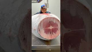 Huge Frozen Tuna Cutting food seafood tuna japan [upl. by Lapides887]