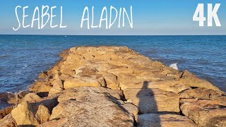 HOTEL SEABEL ALADIN DJERBA REVIEW  VIDEO RECENZE 4K [upl. by Anibas]