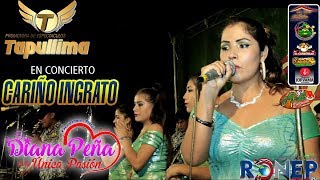 DIANA PEÑA Y SU ÚNICA PASIÓN►CARIÑO INGRATO☆ en vivo  PIURA Ronep Producciones [upl. by Hesoj331]