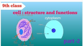 cell  structure and functions Nucleus cytoplasmBiology [upl. by Bauer539]