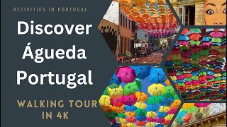 ÁGUEDA Aveiro Portugal  July 2023  4K Virtual Walking Tour [upl. by Hselin]