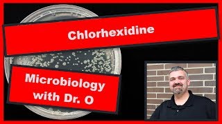 Chlorhexidine Microbiology [upl. by Eivla]