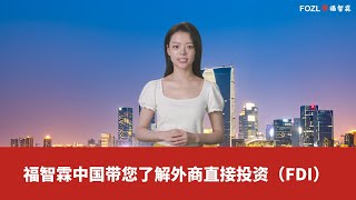 福智霖中国带您了解外商直接投资（FDI） [upl. by Anaela]