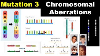 Chromosomal Aberrations  Duplication  Deletion  Inversion  Translocation  Dr Ghanshyam Jangid [upl. by Omor]