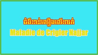 ជំងឺខាន់លឿងលើទារក់maladie de Crigler Najjar [upl. by Keeton]