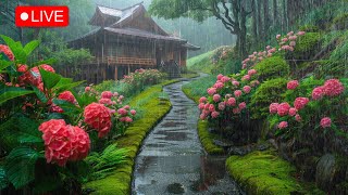 🔴Natural Rain Sound in Japanese Village Improves Sleep Quality🌧️Gentle Rain for Sleep Rest Healing [upl. by Analad]