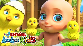 🐥Los Pollitos Dicen Pio Pio  La Vaca Lola 🐮 Canciones Infantiles Para Niños  LooLoo español [upl. by Ahsiened]