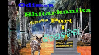 Bhitarkanika  National Parks of India  Bhitarkanika Nature camp  Bhitarkanika National Park [upl. by Ynnattirb]