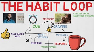 4 stages of The Habit Loop [upl. by Henig]