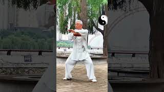 El Tai Chi Un Camino hacia la Armonía CuerpoMente Taichi Asociación [upl. by Acnayb]