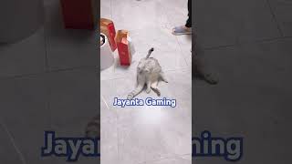 Jayanta Gaming  trending funny comedy reels shorts viralshorts trendingshorts animals [upl. by Allerus]