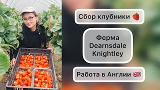 Сбор клубники  Вся правда  Ферма Dearnsdale Knightley  РАБОТА В АНГЛИИ [upl. by Ailuy]