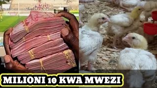 ONA MWENYEWE KIJANA MDOGO ANAINGIZA MILIONI 10 KWA SIKU 28 KWA KUFANYA KAZI HII UFUGAJI WA KUKU [upl. by Thurston431]