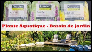 Plante Aquatique Aldi  Comment bien les planter [upl. by Nigam]