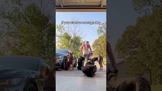 Dog Protecting Owners Daughter🤔 shortvideo [upl. by Eilsel]