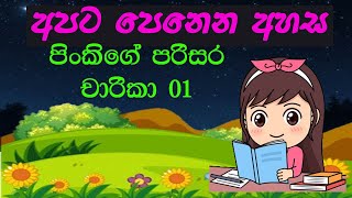 අපට පෙනෙන අහස apata penena ahasa fairy tales [upl. by Nagle]