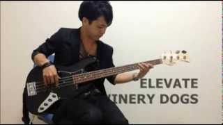 The Winery Dogs 「ELEVATE」BassCoverSolo by TAKAFUMI [upl. by Reamonn]