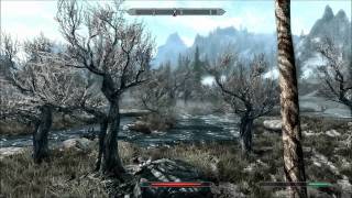 Skyrim Max Settings Gameplay 1920x1080 [upl. by Reace826]