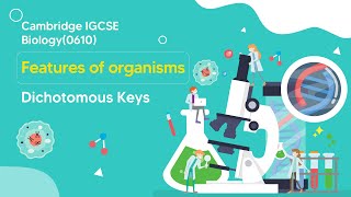 Mastering Dichotomous Keys in IGCSE Biology 🌿🔬 Everything You Need to Know [upl. by Ainorev722]