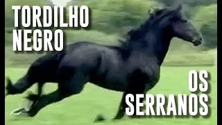 Tordilho negro Os serranos [upl. by Norihs]