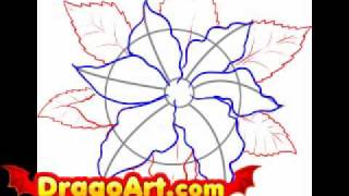 How to draw a poinsettia step by step [upl. by Mossberg524]