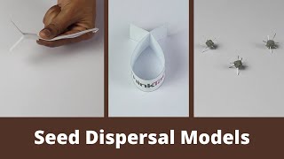 Seed Dispersal Models  ThinkTac  DIY Science [upl. by Moritz]