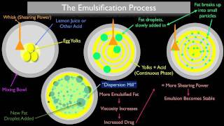 The Emulsification Process [upl. by Sukcirdor431]