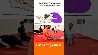 how to do paschimottanasana ll Hatha yoga guru [upl. by Tavi]