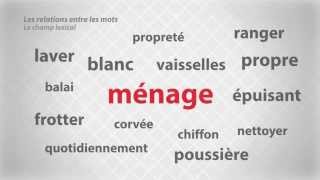 Les relations entre les mots  Le champ lexical [upl. by Ialocin804]