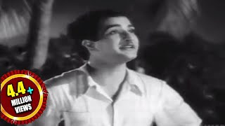 Missamma Movie  Raavoyi Chandamaama Video Song  NTR ANR SVR Savitri Jamuna [upl. by Eek]