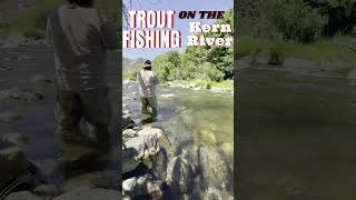 TROUT FISHING on the Kern River 08302024 fishing fishingislife kernriver trout troutfishing [upl. by Annaes]