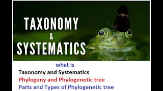 6 Taxonomy and systematics Phylogeny and phylogenetics and phylogenetic tree [upl. by Gnay]