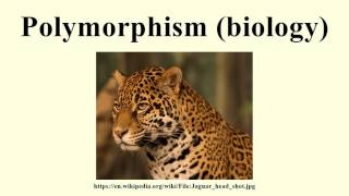 Polymorphism biology [upl. by Etteroma]