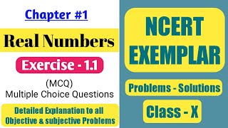 Chapter 1 Real Numbers Exercise 11 solutions  NCERT Exemplar class 10 Maths [upl. by Monson]